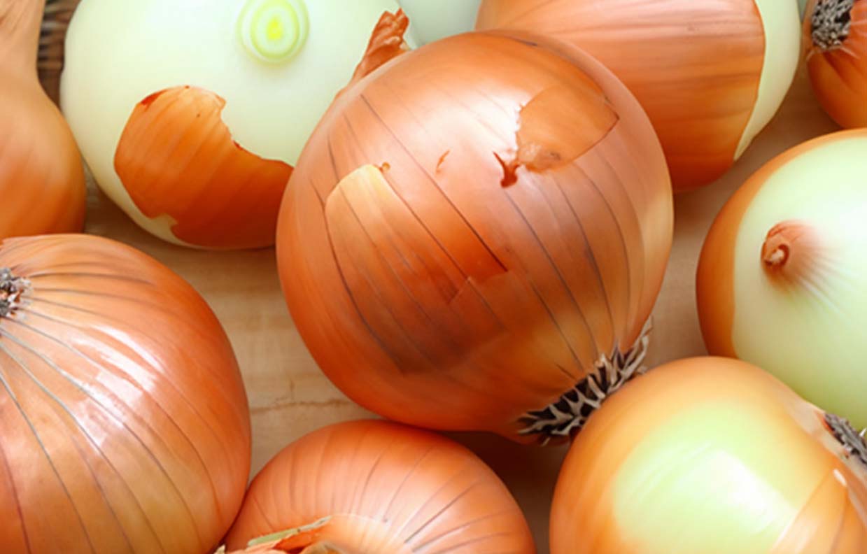 양파-효능-보관법-스타라스토어