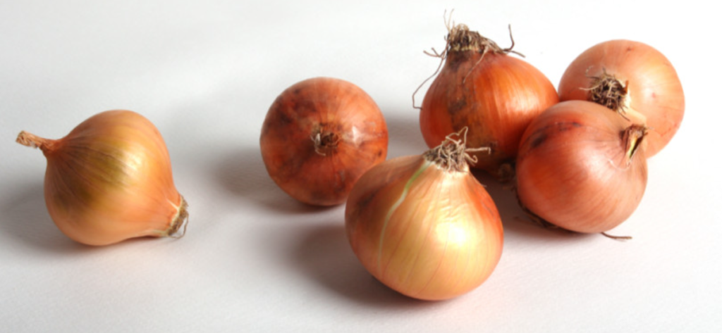 양파 효능- 스타라스토어