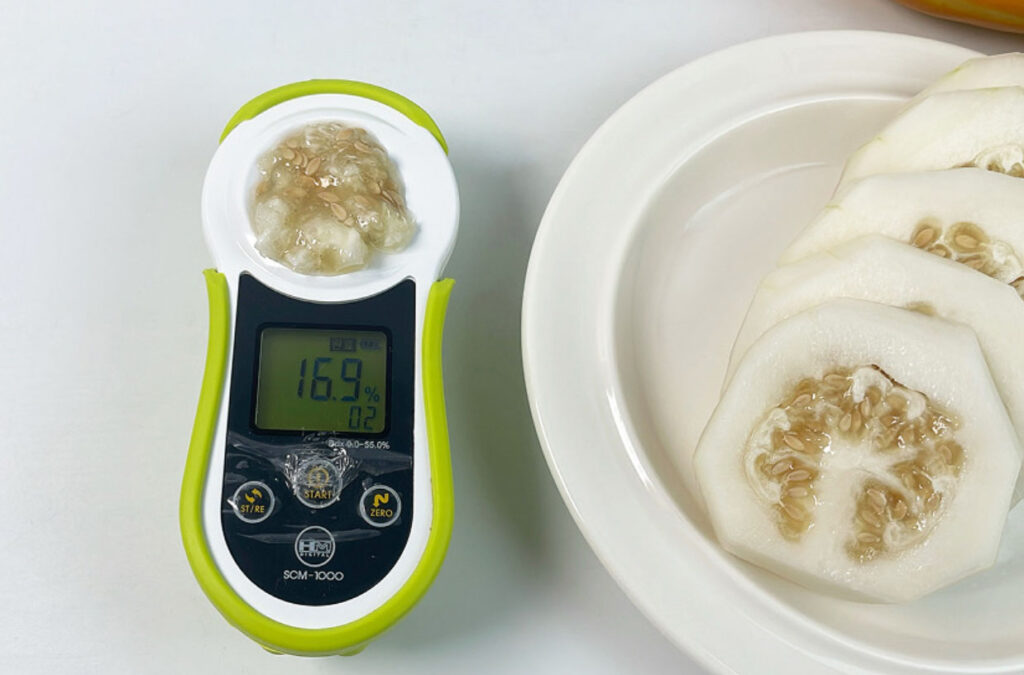 참외효능-스타라스토어-참외-당도